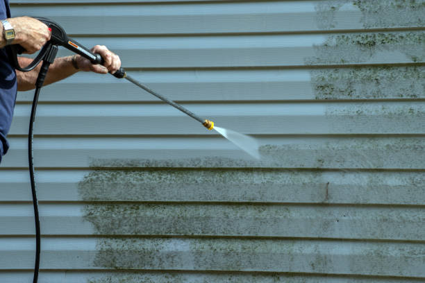 Best Roof Washing  in Columbus, MS